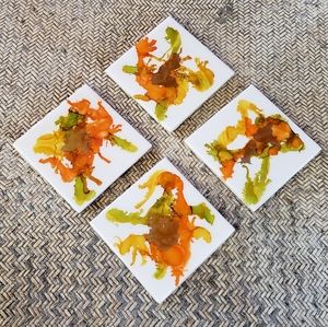 Alcohol Ink Coasters Fall Splash Set of 4